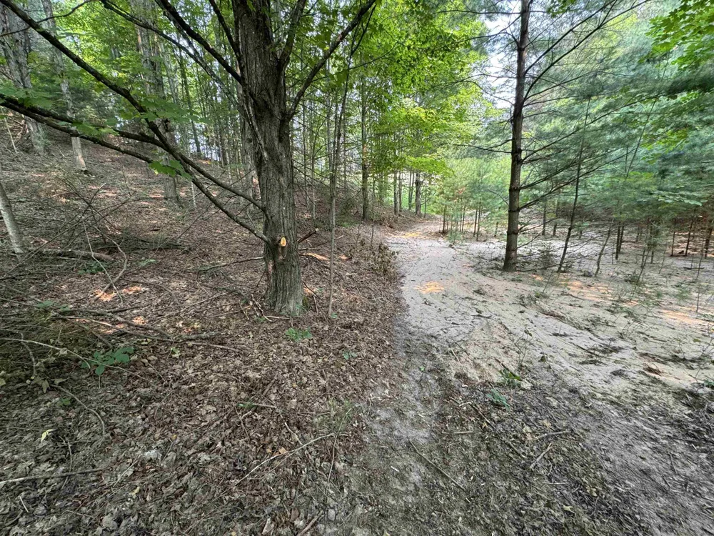 E Bellinger Road Kasson Township, MI 49621