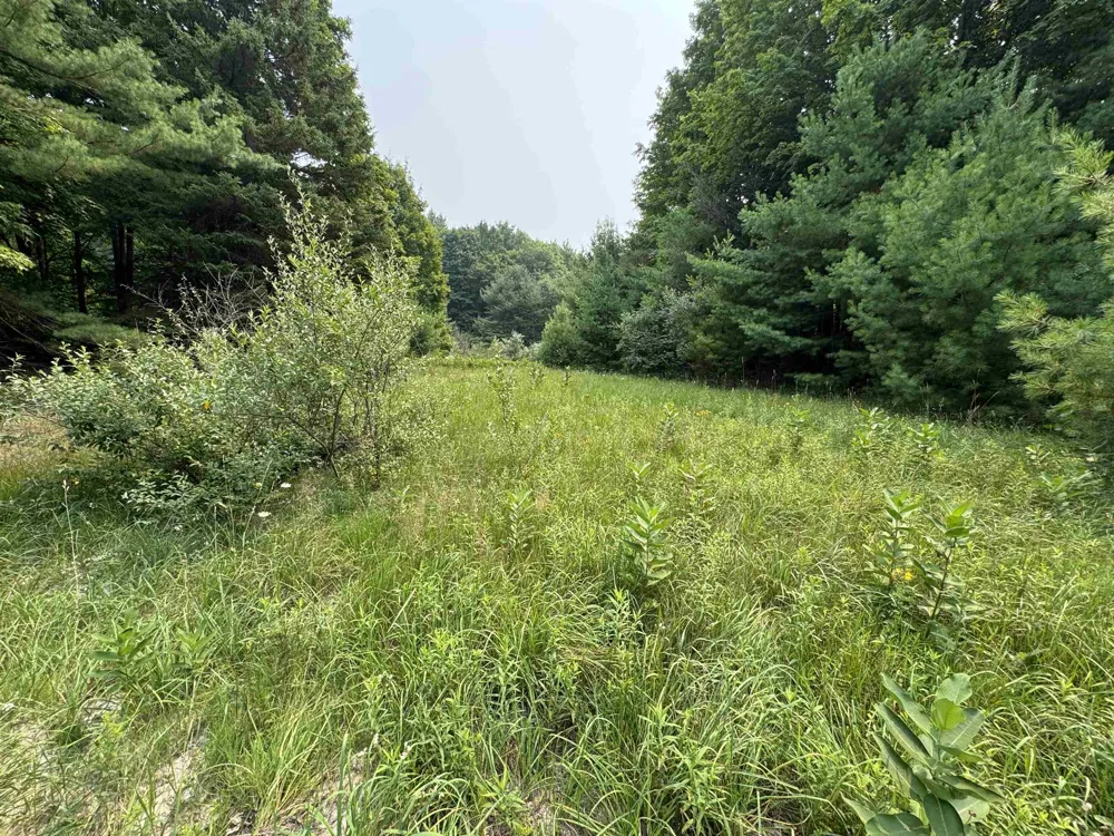 E Bellinger Road Kasson Township, MI 49621