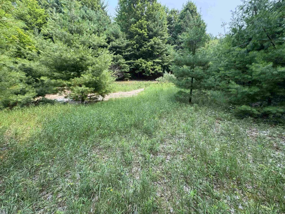 E Bellinger Road Kasson Township, MI 49621
