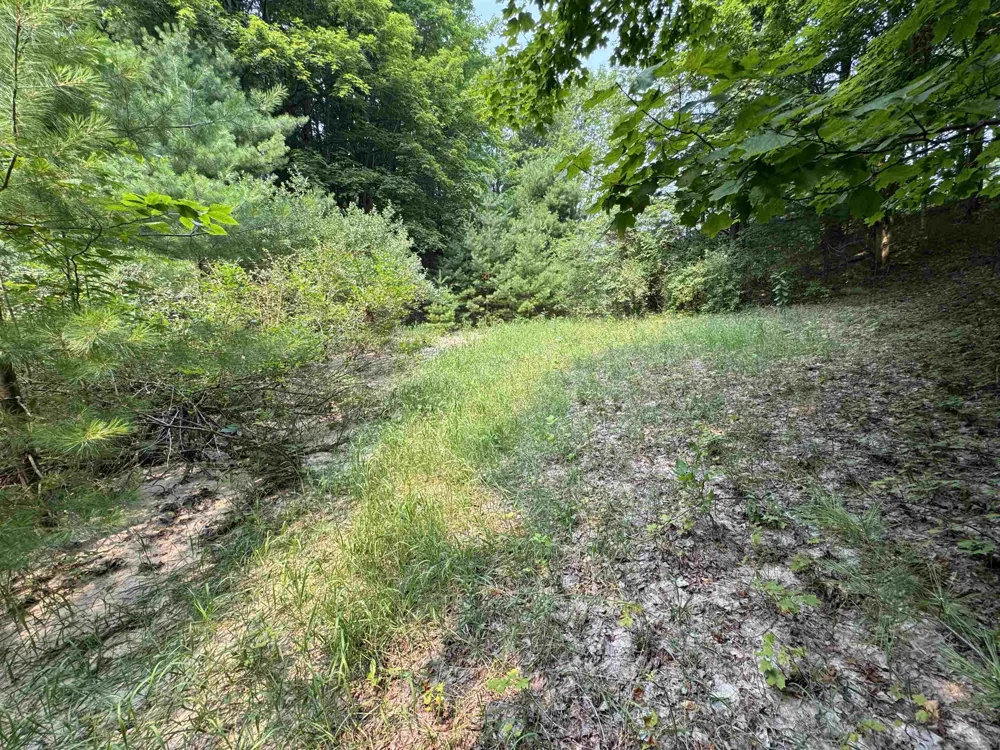 E Bellinger Road Kasson Township, MI 49621