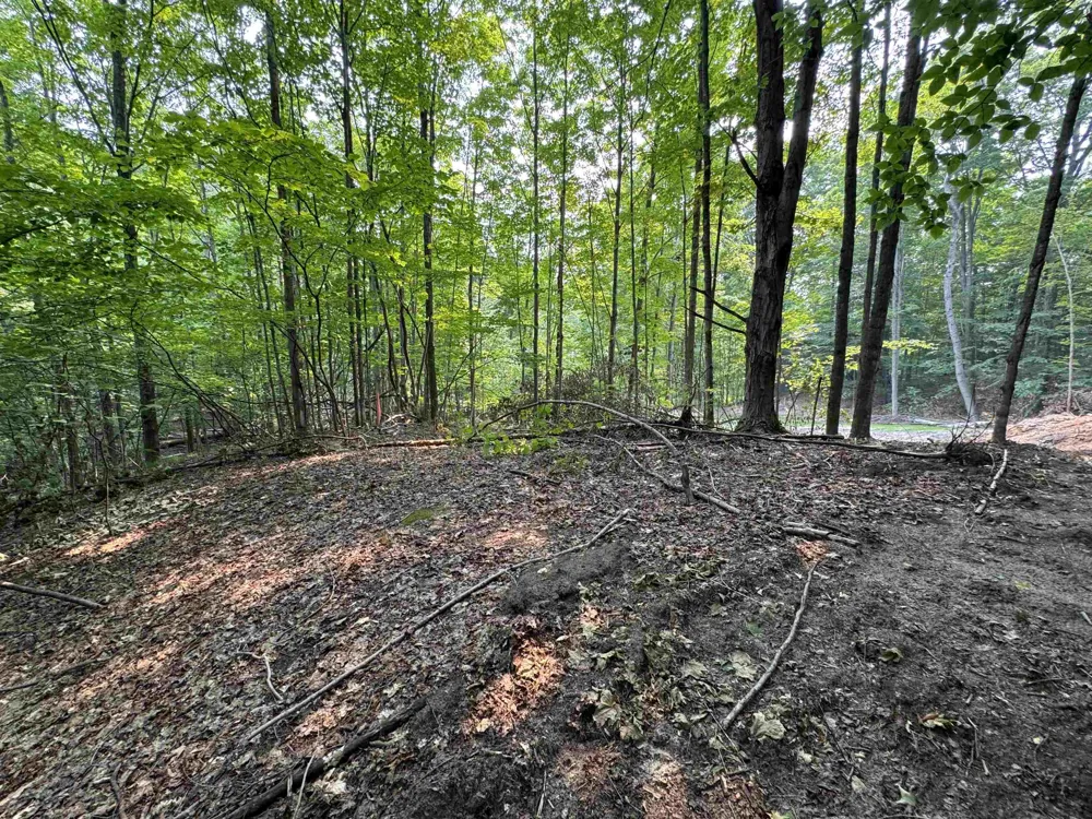 E Bellinger Road Kasson Township, MI 49621