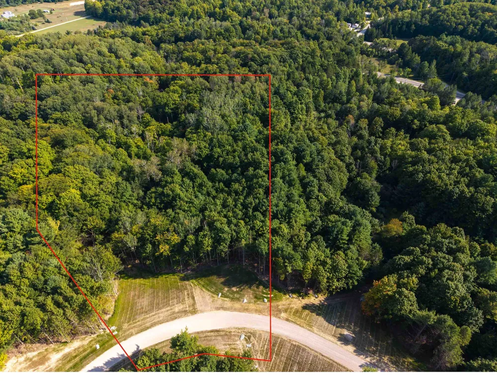 E Bellinger Road Kasson Township, MI 49621
