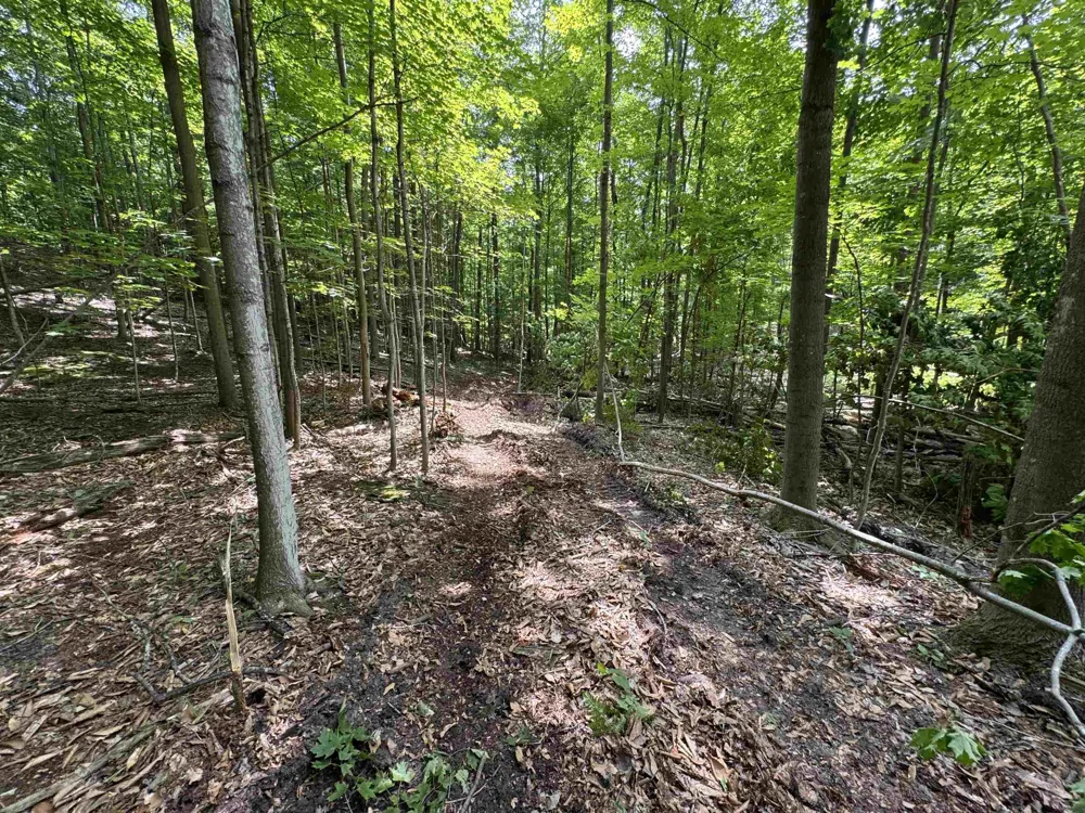 E Bellinger Road Kasson Township, MI 49621
