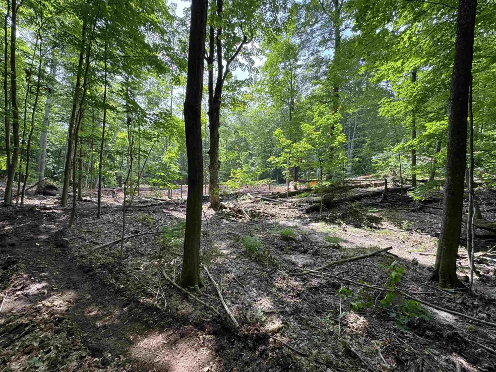 E Bellinger Road Kasson Township, MI 49621