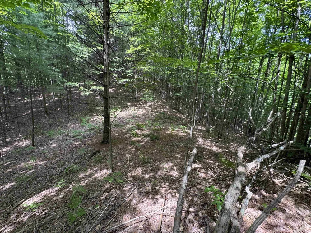 E Bellinger Road Kasson Township, MI 49621