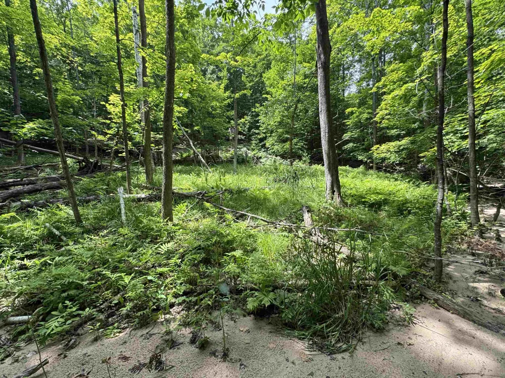 E Bellinger Road Kasson Township, MI 49621
