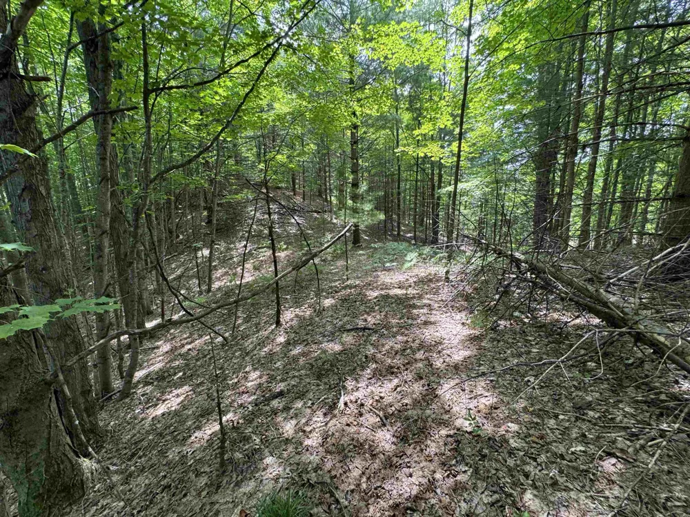 E Bellinger Road Kasson Township, MI 49621