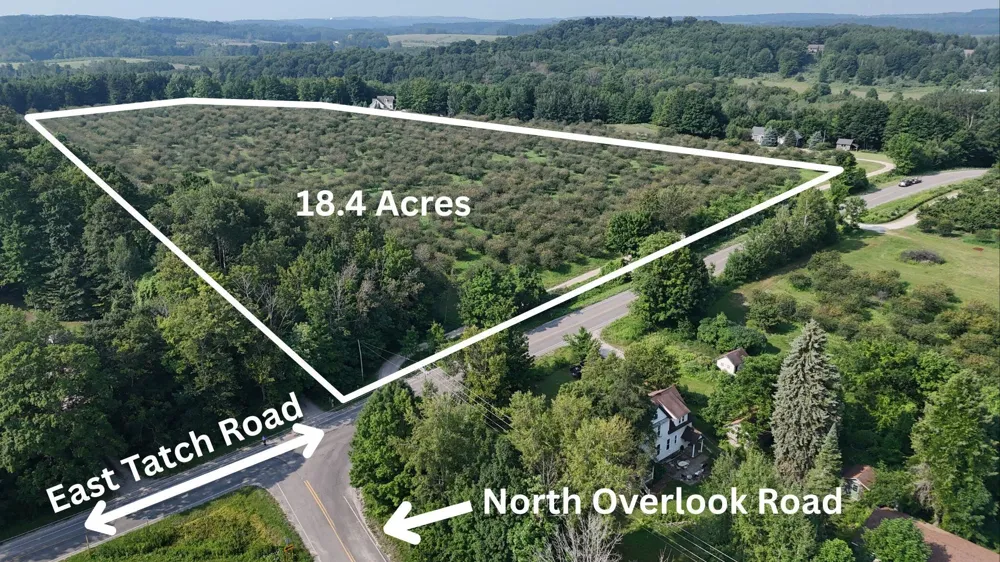 E Tatch Road Leelanau Township, MI 49670