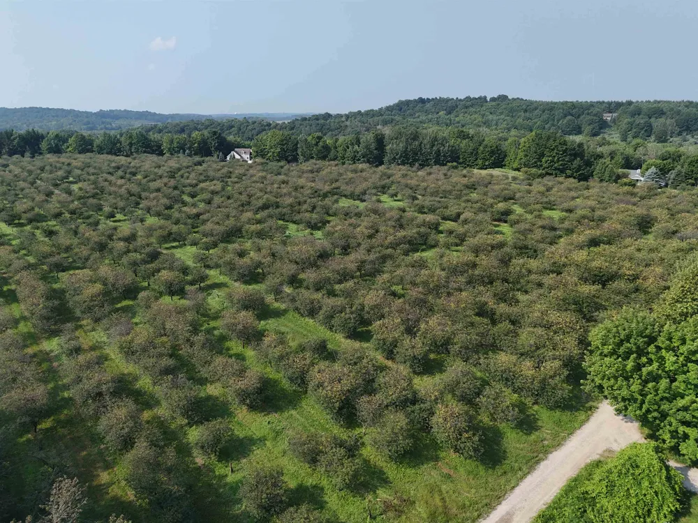 E Tatch Road Leelanau Township, MI 49670