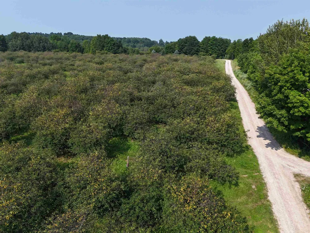 E Tatch Road Leelanau Township, MI 49670