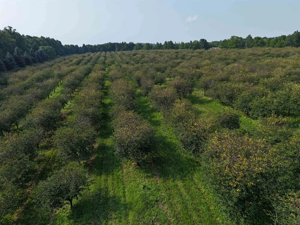 E Tatch Road Leelanau Township, MI 49670