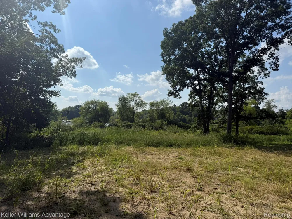 10493 Spring Grove Brighton City, MI 48114