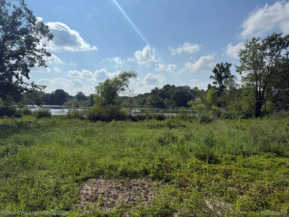10493 Spring Grove Brighton City, MI 48114