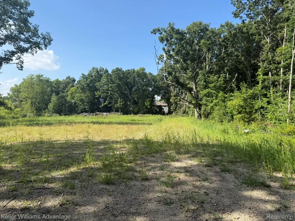 10493 Spring Grove Brighton City, MI 48114