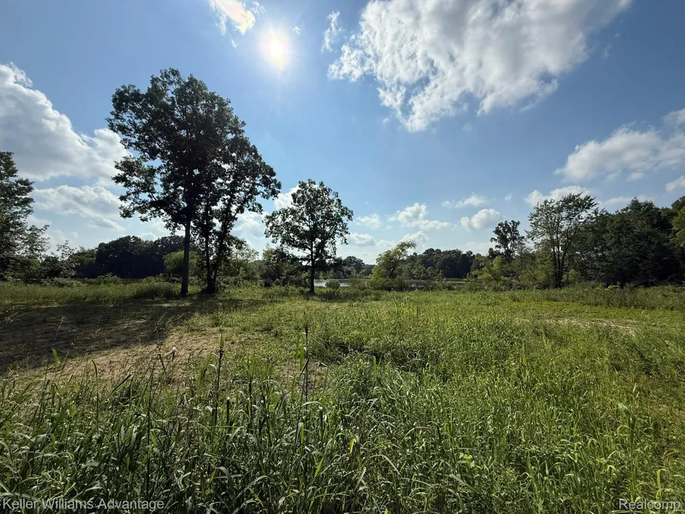 10493 Spring Grove Brighton City, MI 48114