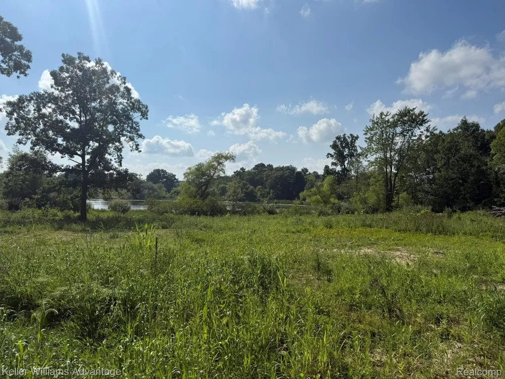 10493 Spring Grove Brighton City, MI 48114