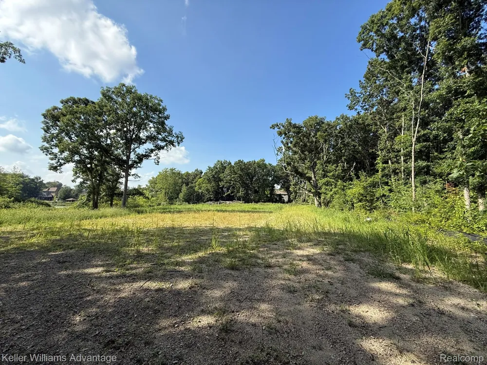 10493 Spring Grove Brighton City, MI 48114