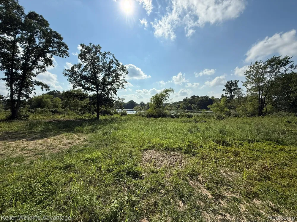 10493 Spring Grove Brighton City, MI 48114