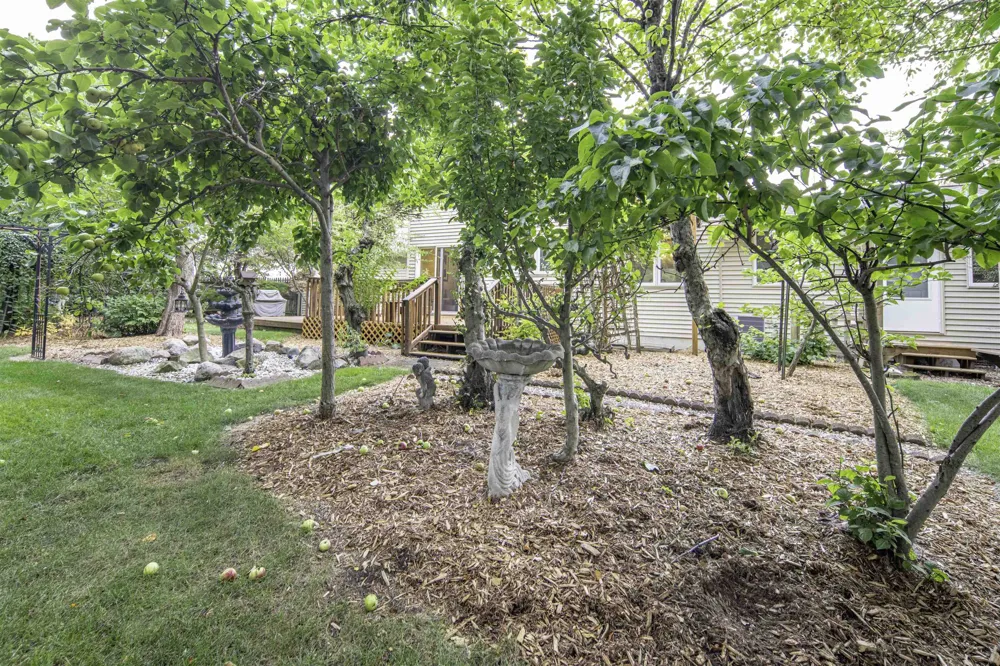 1000 Country Way Mt Pleasant City, MI 48858