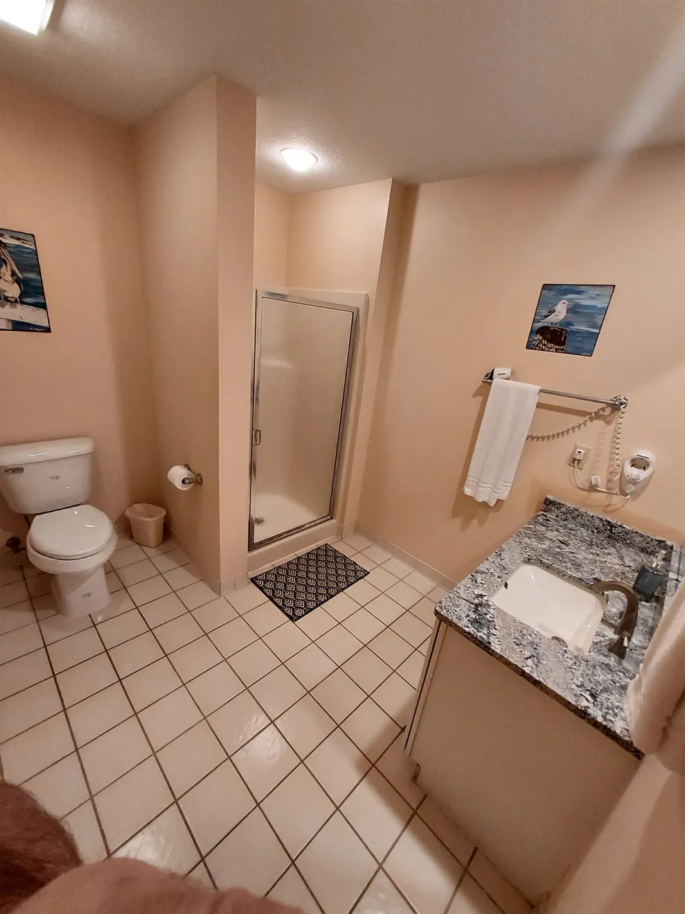 6493 Deer Path Custer Township, MI 49615