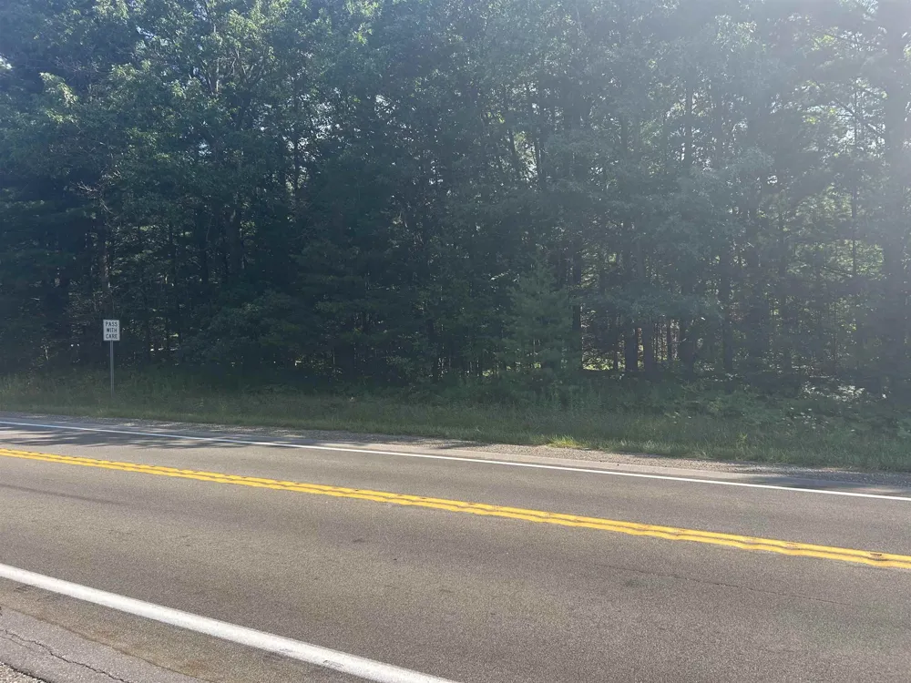 S M-88 Custer Township, MI 49615