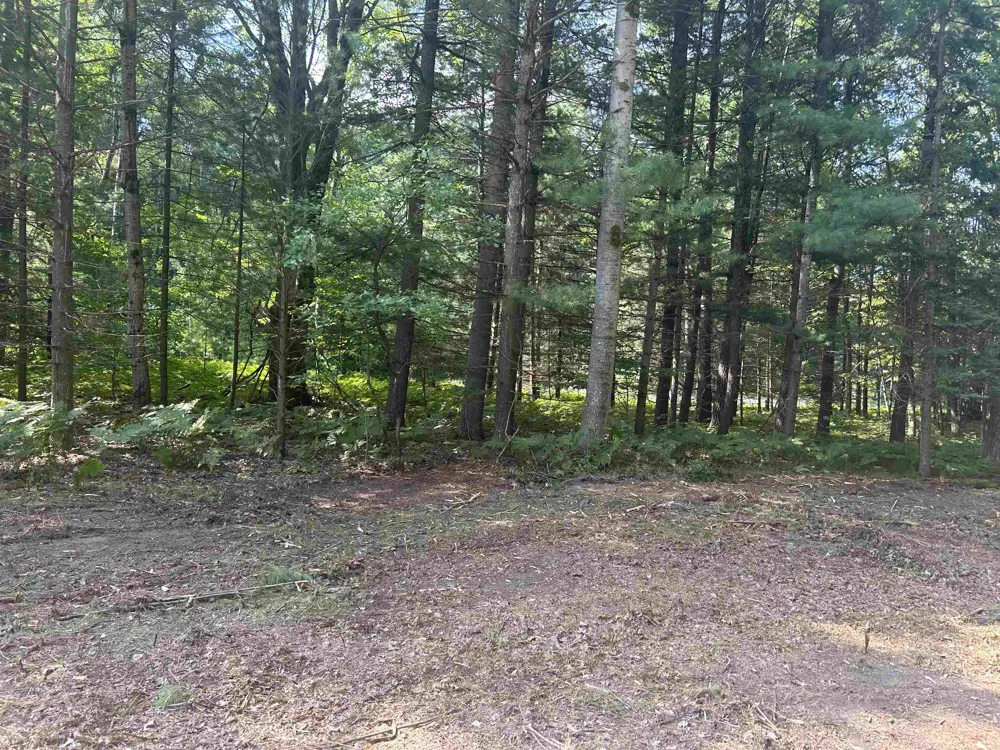 S M-88 Custer Township, MI 49615