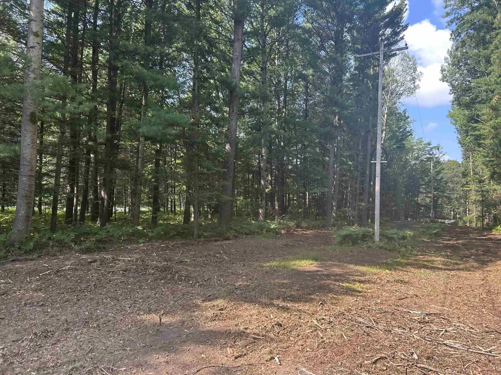 S M-88 Custer Township, MI 49615