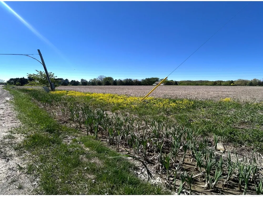 23335 Mcphall Road Armada Village, MI 48005