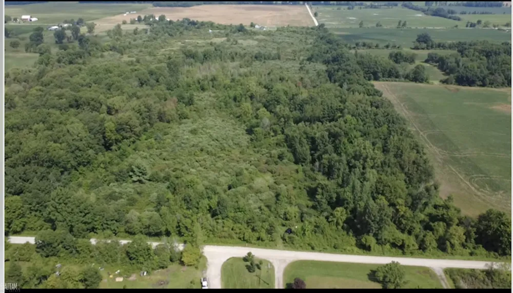 Nettney Road Capac Village, MI 48014