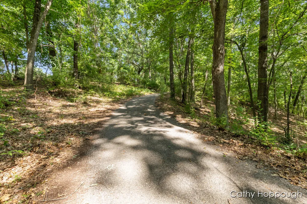 735 Prairie Creek Road Ionia Township, MI 48846
