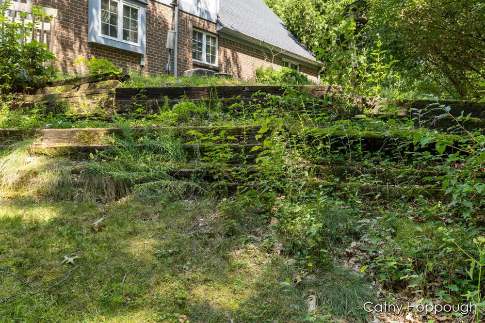 735 Prairie Creek Road Ionia Township, MI 48846