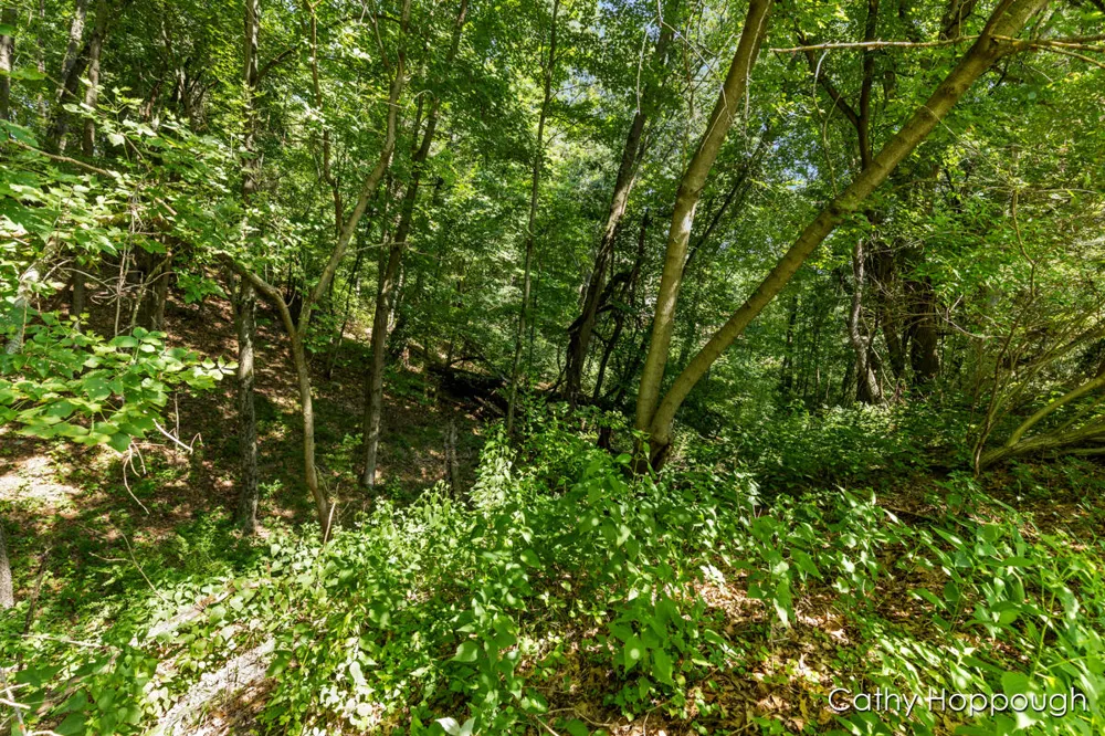 735 Prairie Creek Road Ionia Township, MI 48846