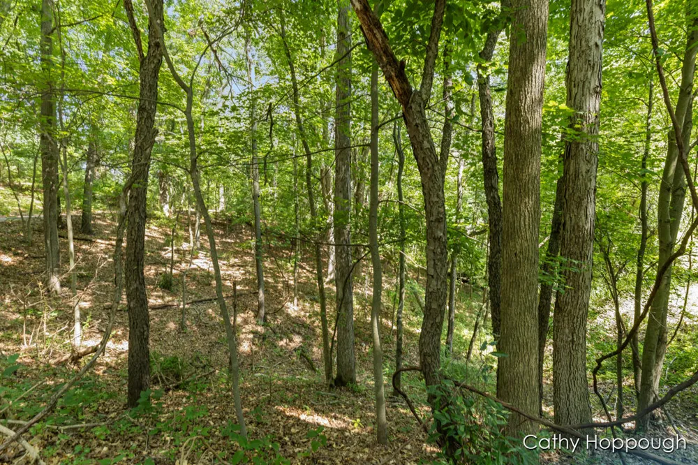 735 Prairie Creek Road Ionia Township, MI 48846
