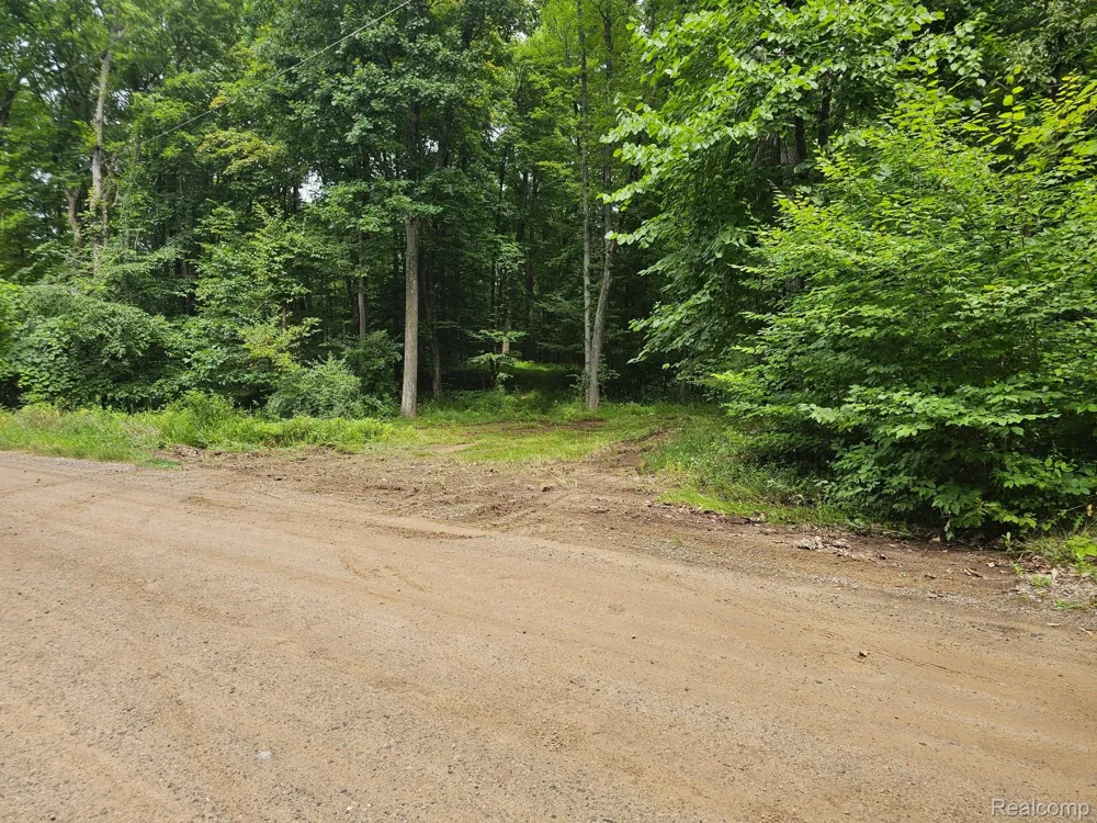 8600 Eagle Road Rose Township, MI 48350
