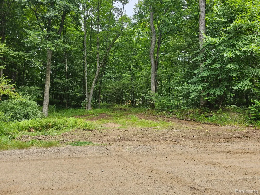 8600 Eagle Road Rose Township, MI 48350