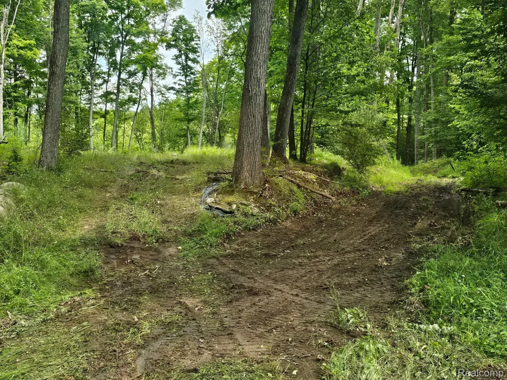8600 Eagle Road Rose Township, MI 48350