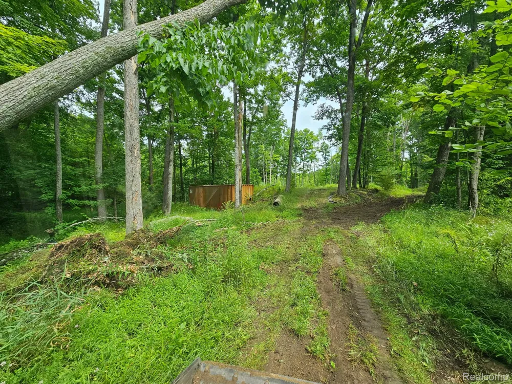 8600 Eagle Road Rose Township, MI 48350