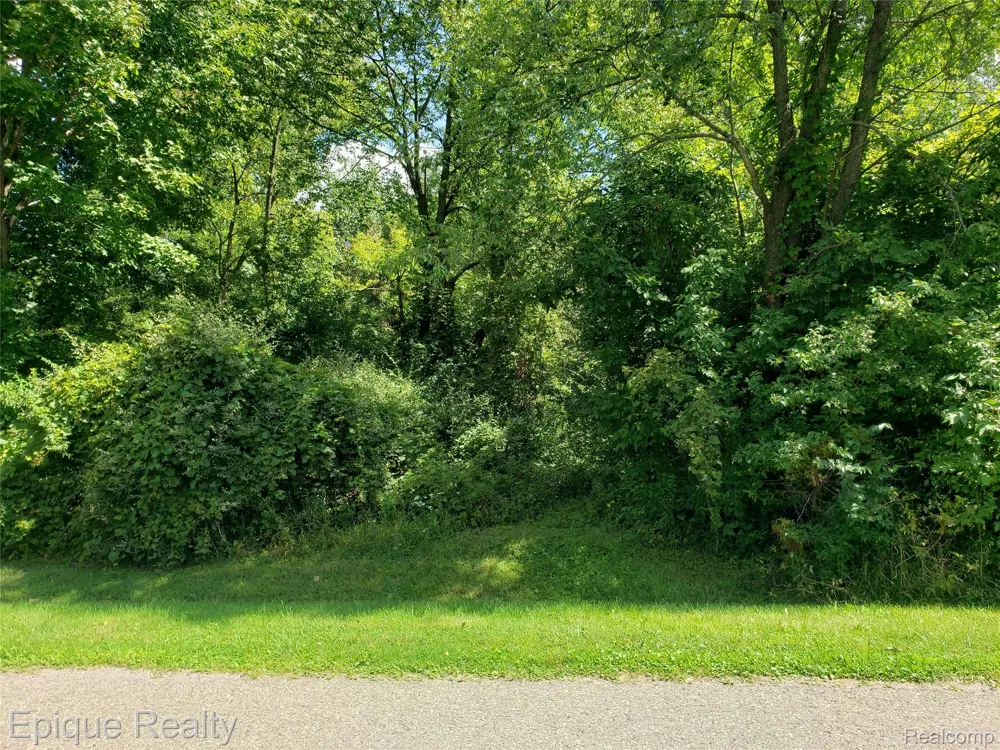 Shinanguag Drive Atlas Township, MI 48438