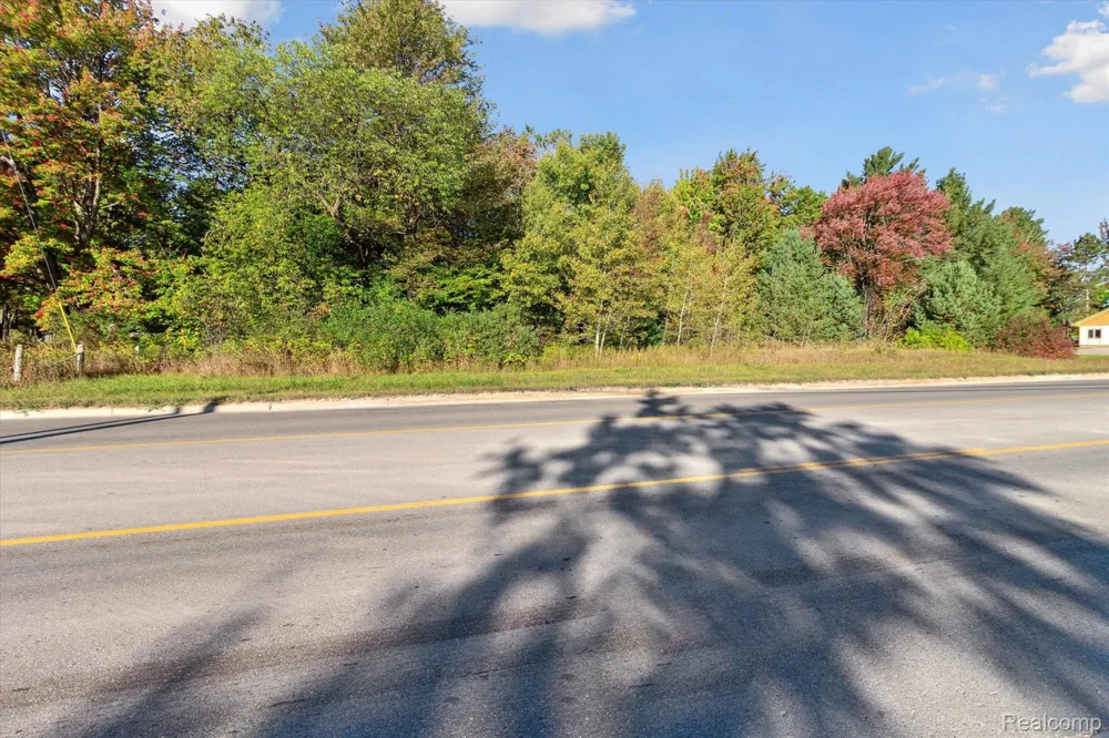 1043 NOIROT STREET Bagley Township, MI 49735