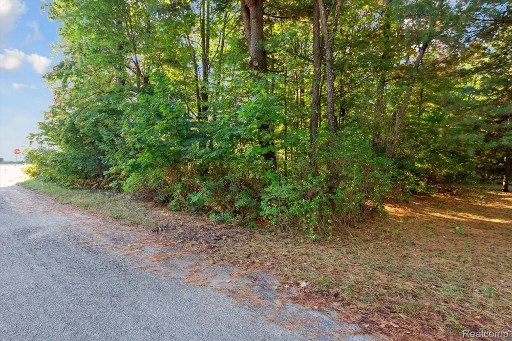 1043 NOIROT STREET Bagley Township, MI 49735