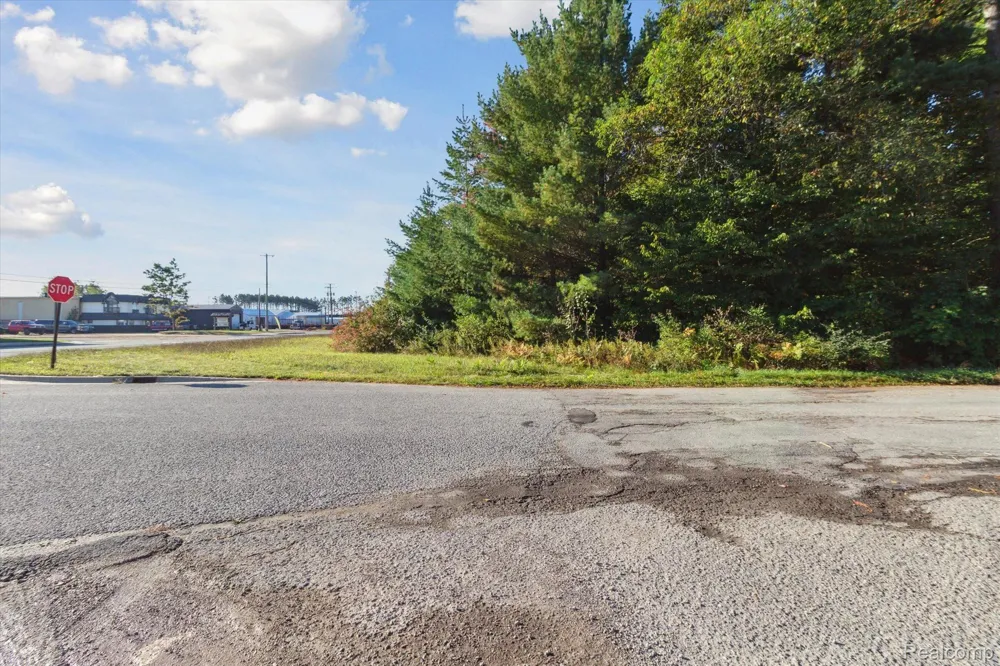 1043 NOIROT STREET Bagley Township, MI 49735