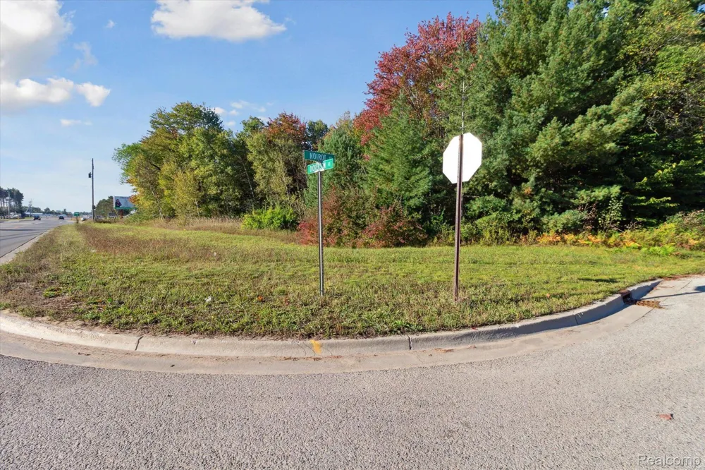 1043 NOIROT STREET Bagley Township, MI 49735