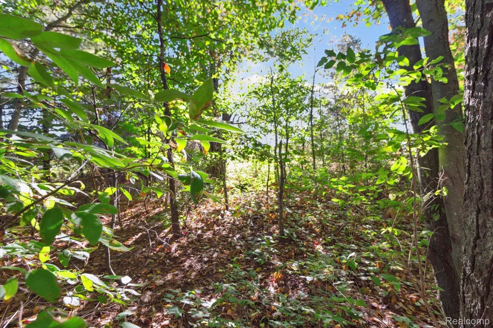 1043 NOIROT STREET Bagley Township, MI 49735