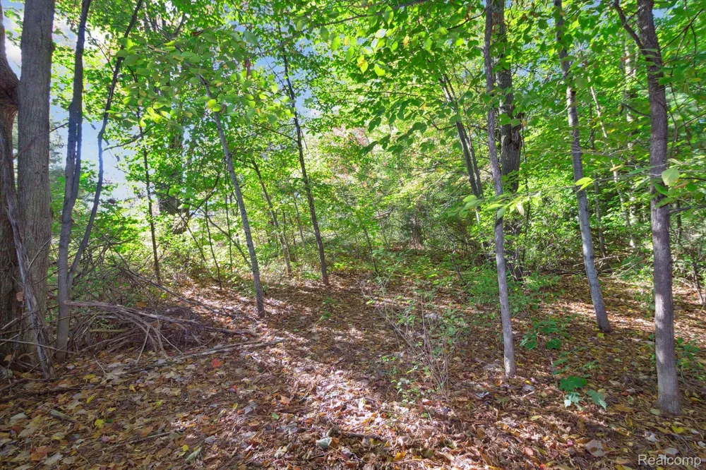 1043 NOIROT STREET Bagley Township, MI 49735