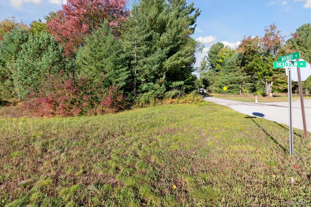 1043 NOIROT STREET Bagley Township, MI 49735