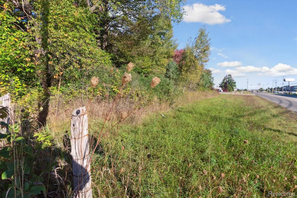 1043 NOIROT STREET Bagley Township, MI 49735