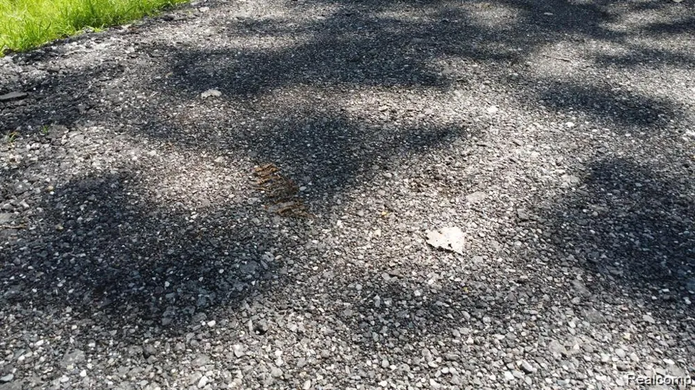Ecorse Road Romulus City, MI 48174