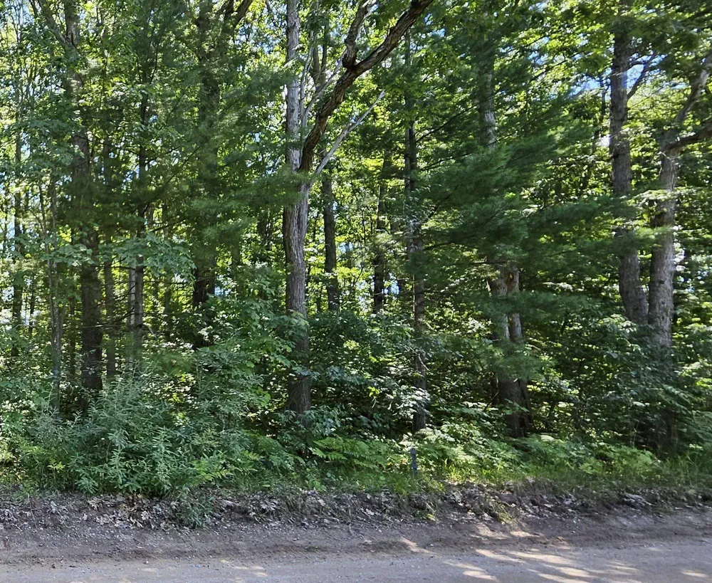 Merritt Street Fife Lake Township, MI 49633