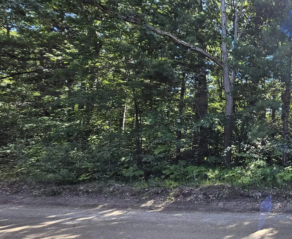 Merritt Street Fife Lake Township, MI 49633