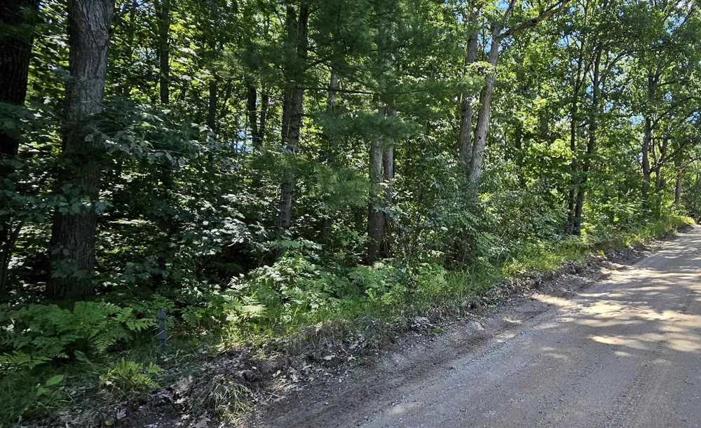 Merritt Street Fife Lake Township, MI 49633